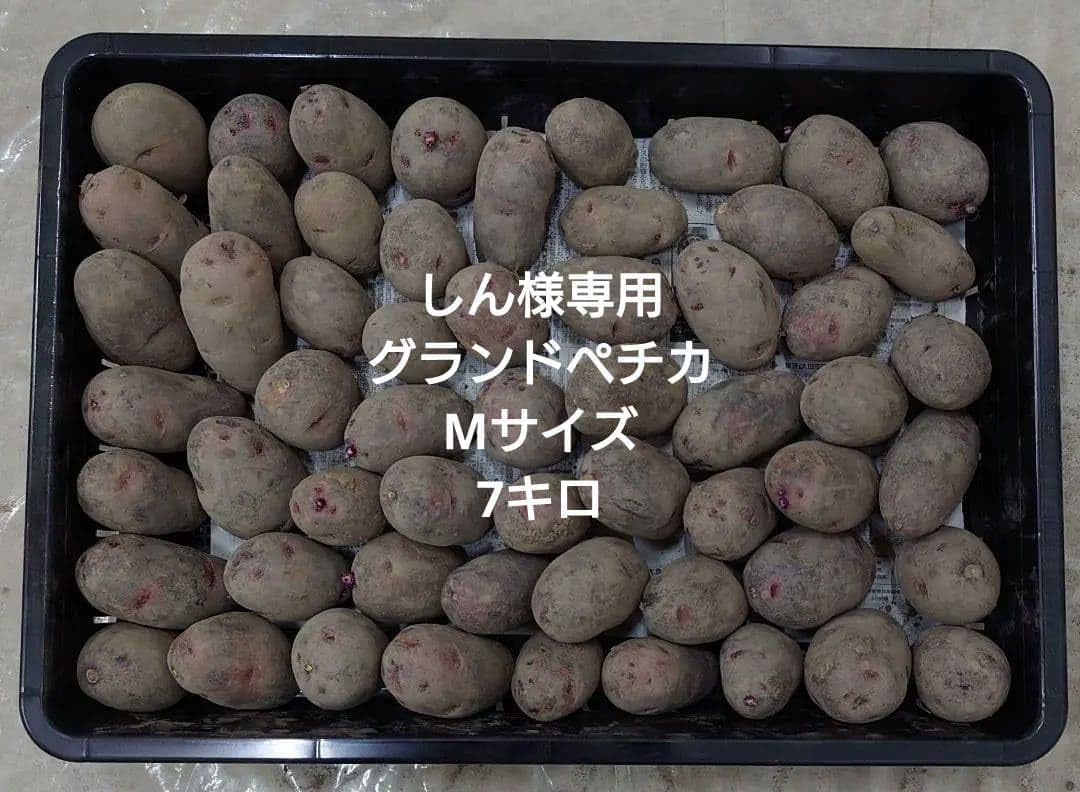 グランドペチカ Mサイズ 10キロ