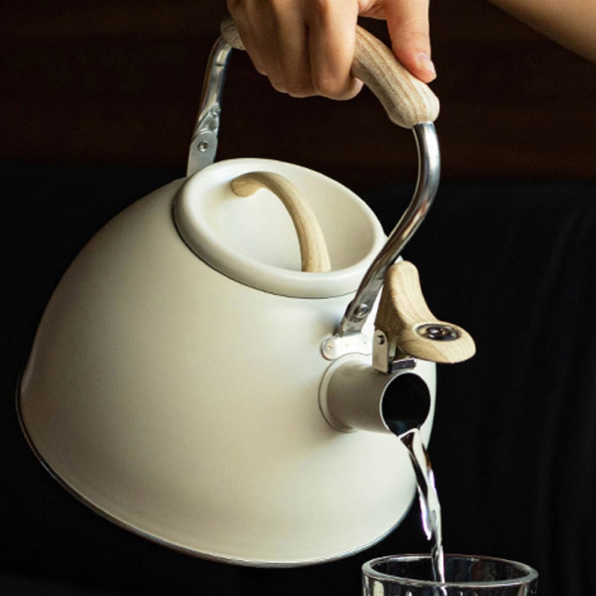 Tetera Silbante de Cocina de Acero Inoxidable 3l Beige