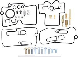 ApplianPar Carburetor Repair Rebuild Kit for Yamaha YZ450F 2003-2009 YZ250F 2003-2013