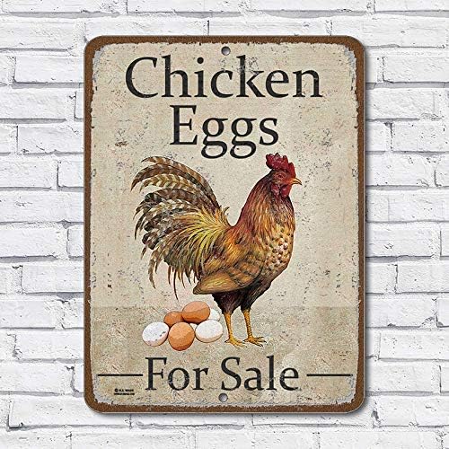 BA IMAGE Rustic Chicken Eggs for Sale 9x12 Aluminum Metal