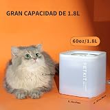 Ver la foto 8