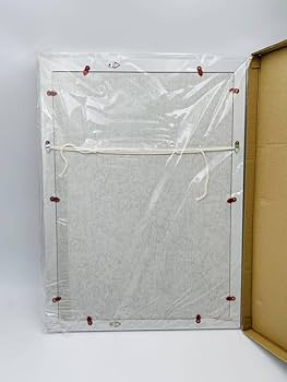 Amazon.co.jp: ときめきメモリアル 藤崎詩織 水着 ジグレー版画 限定50