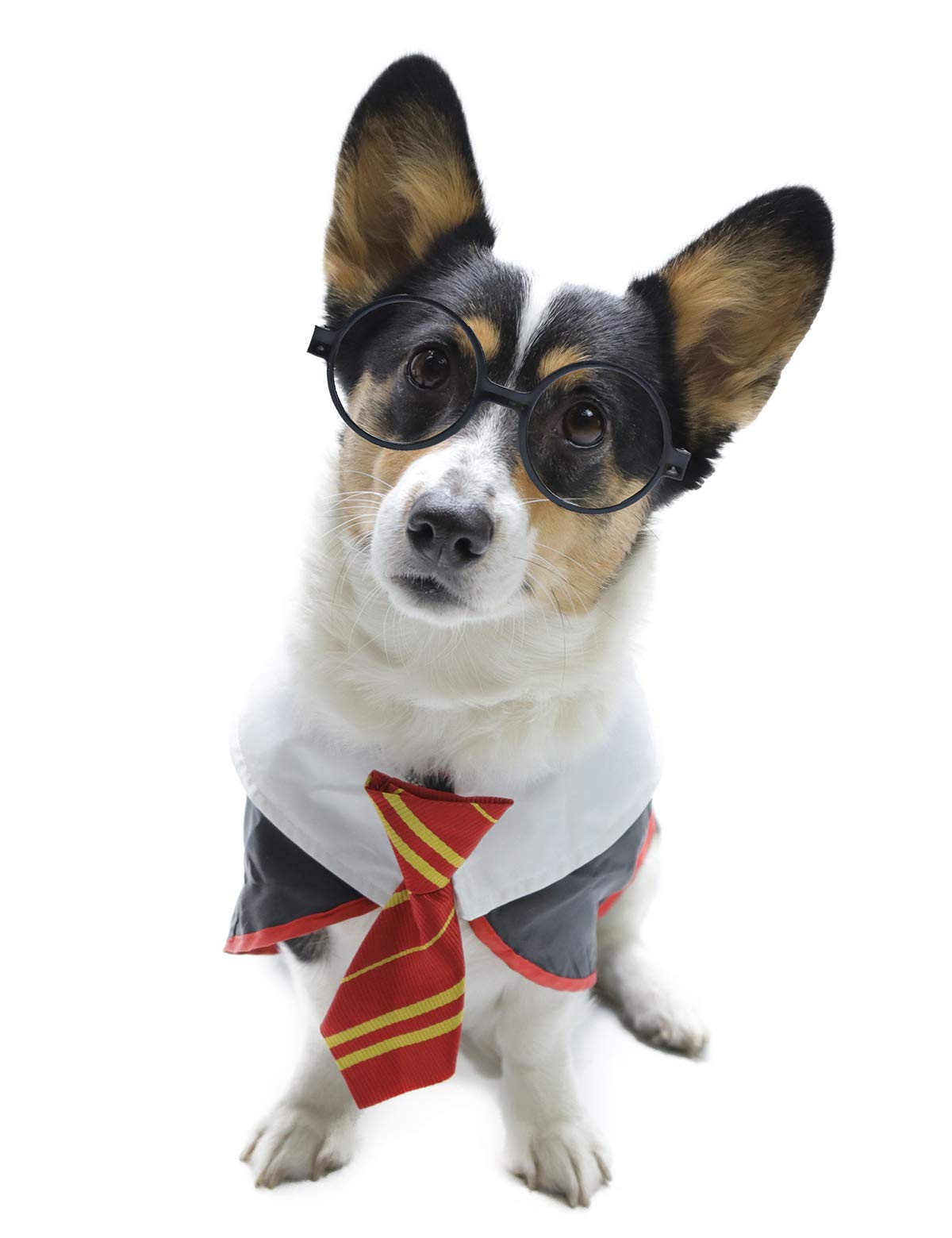 Impoosy Pet Halloween Dog Shirts Funny Cat Wizard Costume Cute Apparel Soft Clothes with Glasses (Medium,Neck:14")