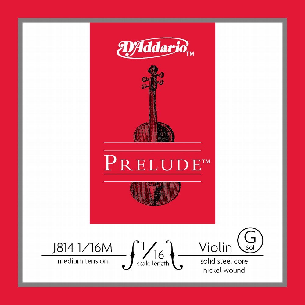 D'Addario Prelude Violino 10Blk G 1/16 Med (J8141/16M-B10)