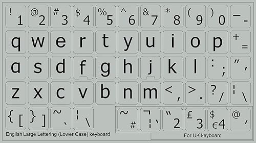 ESPAÑOL NOSOTROS GRANDE CAJA INFERIOR NO TRANSPARENTES FONDO GRIS CLARO