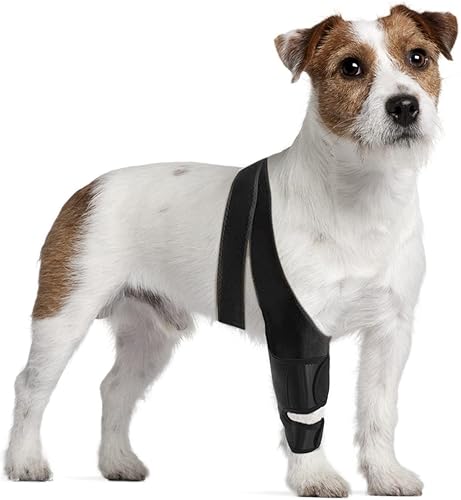 Rodillera para perro, soporte de pierna de perro para soporte de ACL con lesión de ligamento cruzado, luxación de la rodilla, dolor articular y