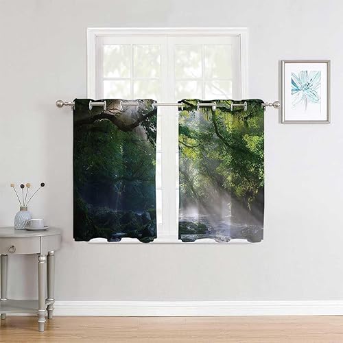 Miniatura 2 de YANFENQI Cortinas para Habitacion - Cortinas para Habitacion con ojales para puerta corta, cortinas bohemias de 55 pulgadas de ancho por 45 pulgadas