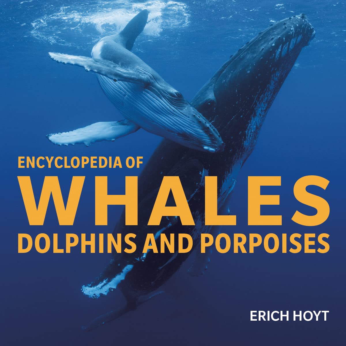 Encyclopedia of Whales, Dolphins & Porpoises: Dolphins and Porpoises