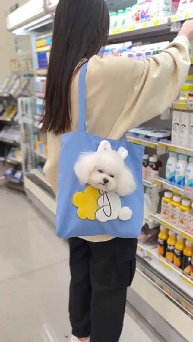 Amazon.co.jp: ペット キャリーバッグ 顔出し 猫犬用 ビー型キャット