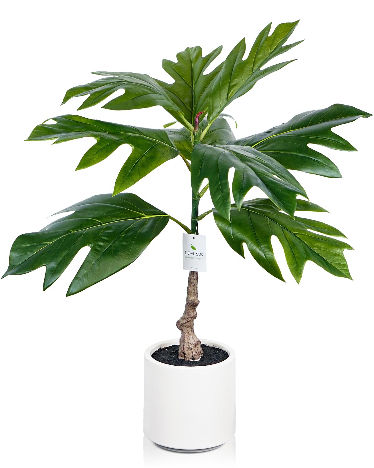 Leflos Artificial Breadfruit Tree Indoor, 2ft Faux Monstera Deliciosa Plant, 24'' Tropical Fake Potted Tree in White Pot, Nice Home & Housewarming Decor
