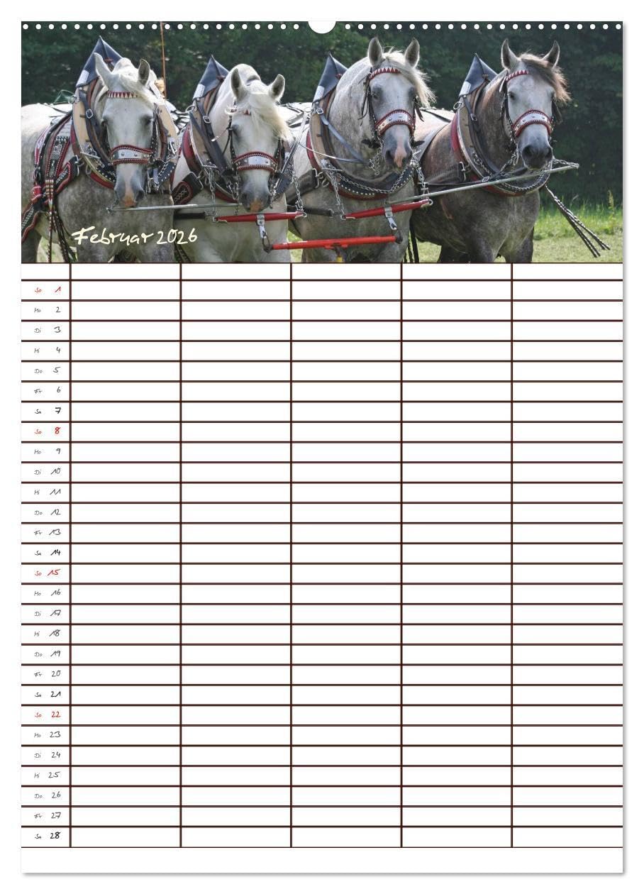 Der Kaltblut-Familienplaner (Wandkalender 2026 DIN A2 hoch), CALVENDO Monatskalender: Der Kaltblutkalender für die ganze Familie (CALVENDO Tiere)