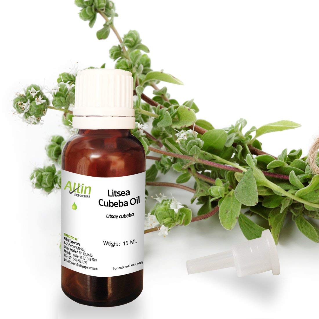 Allin Exporters Litsea Cubeba Essential Oil Pure, Natural & Undiluted Therapeutic Grade Ideal for Perfumes, Body Fragrance, Skincare & Hair Nourishment (15ml)