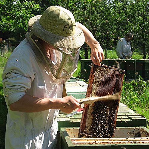 Blütenpollen 250g - Natürlich und rein 100% Pollen, Herkunft Spanien (von Imkerei Nordheide) – Bild 6
