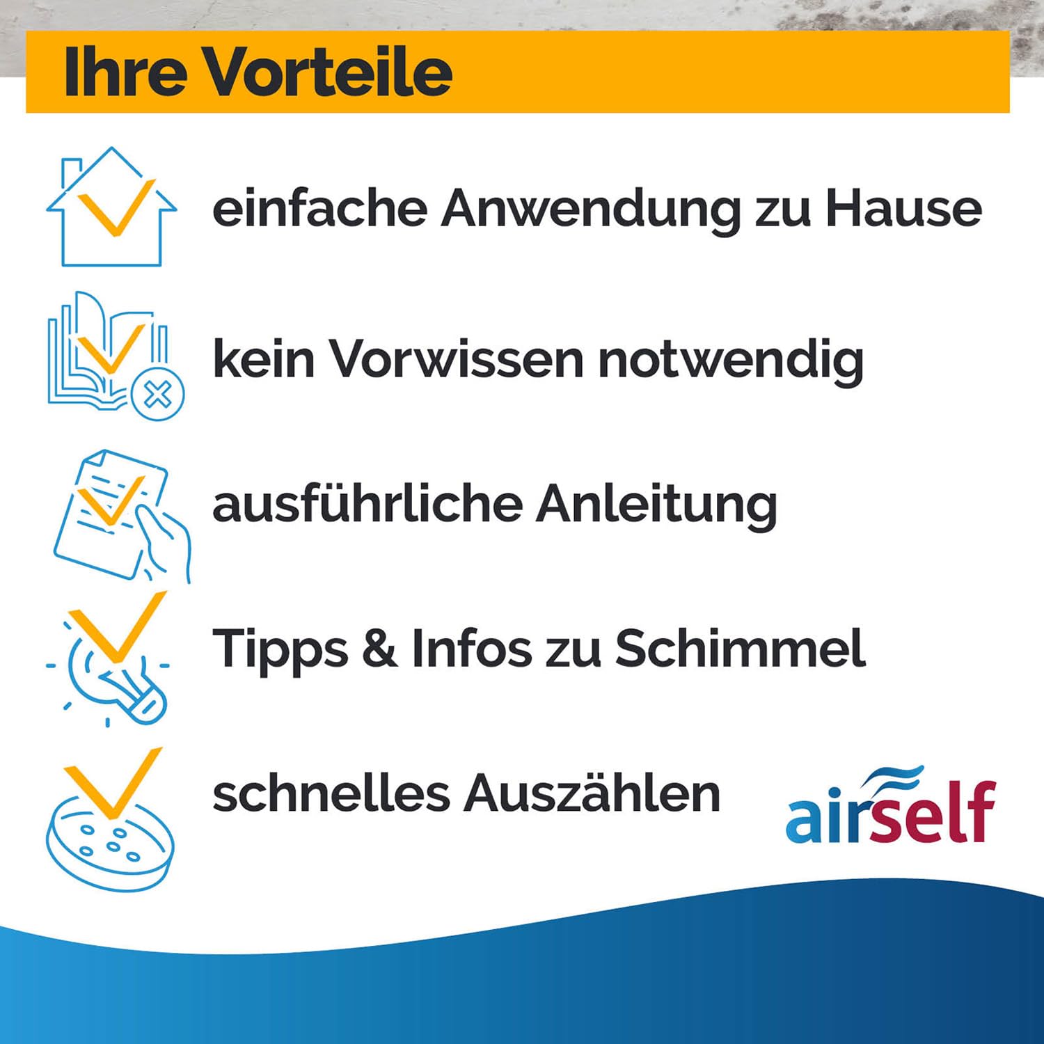 airself Schimmeltest Maxi-Set, 12 Nährböden | zur Untersuchung der Schimmelpilzbelastung in Innenräumen