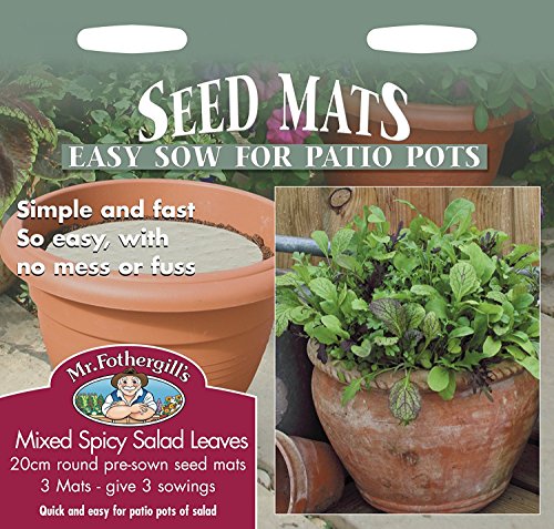 Mr Fothergill's 25559 Vegetable Seeds, MAT Mixed Spicy Salad Leaves