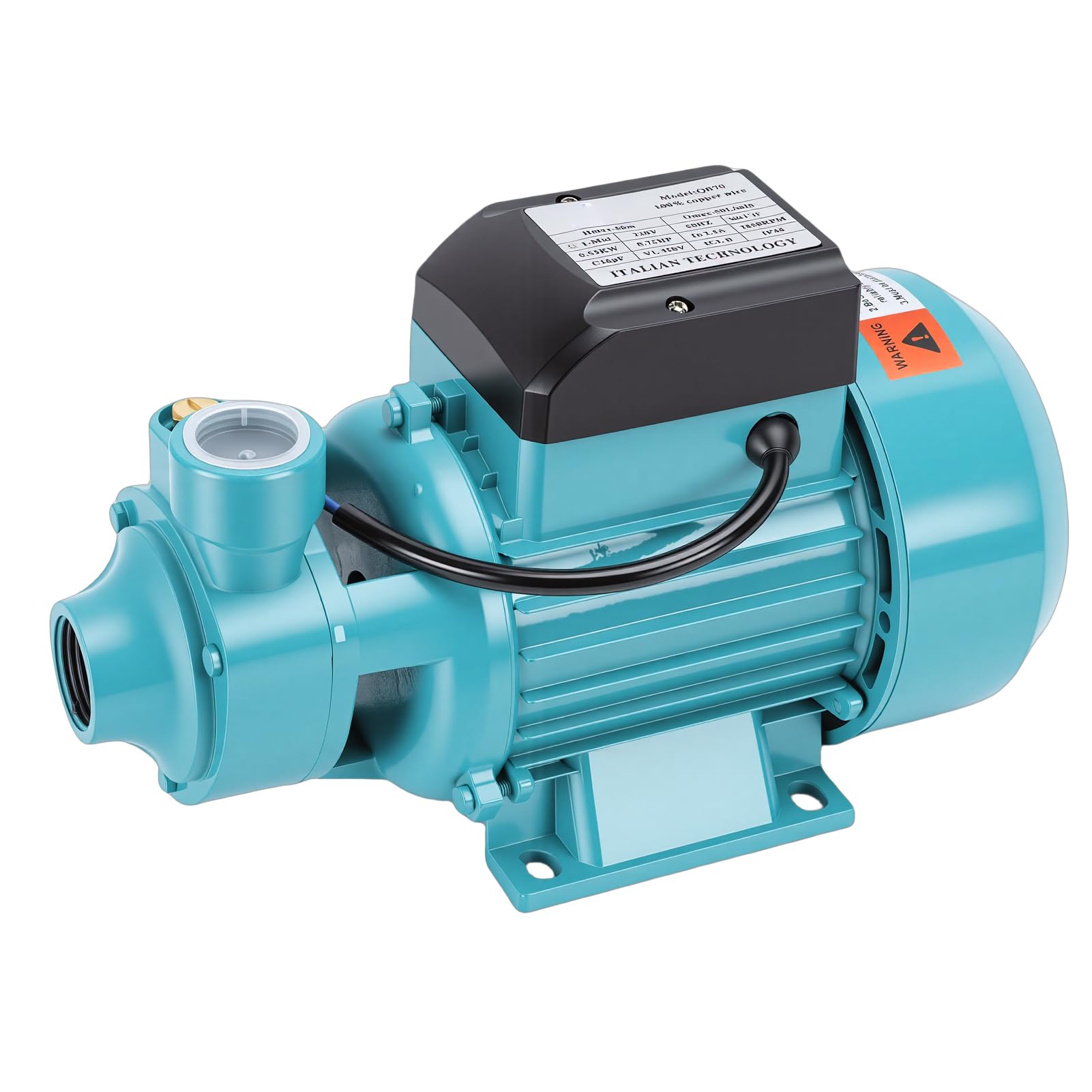Pompa Centrifuga per Trasferimento Acqua Efficiente 0,75 per Irrigazione di Pozzi da Giardino 50 M di Sollevamento 50 L/min QB70 per Agricoltura Domestica