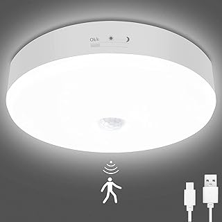 Motion Sensor LED Ceiling Light Rechargeable LED Closet Lights with USB Cable,Motion Sensor Light Indoor/Outdoor for Closet Stairs Porch Hallway Pantry Wall,Wireless Lights Without Wiring