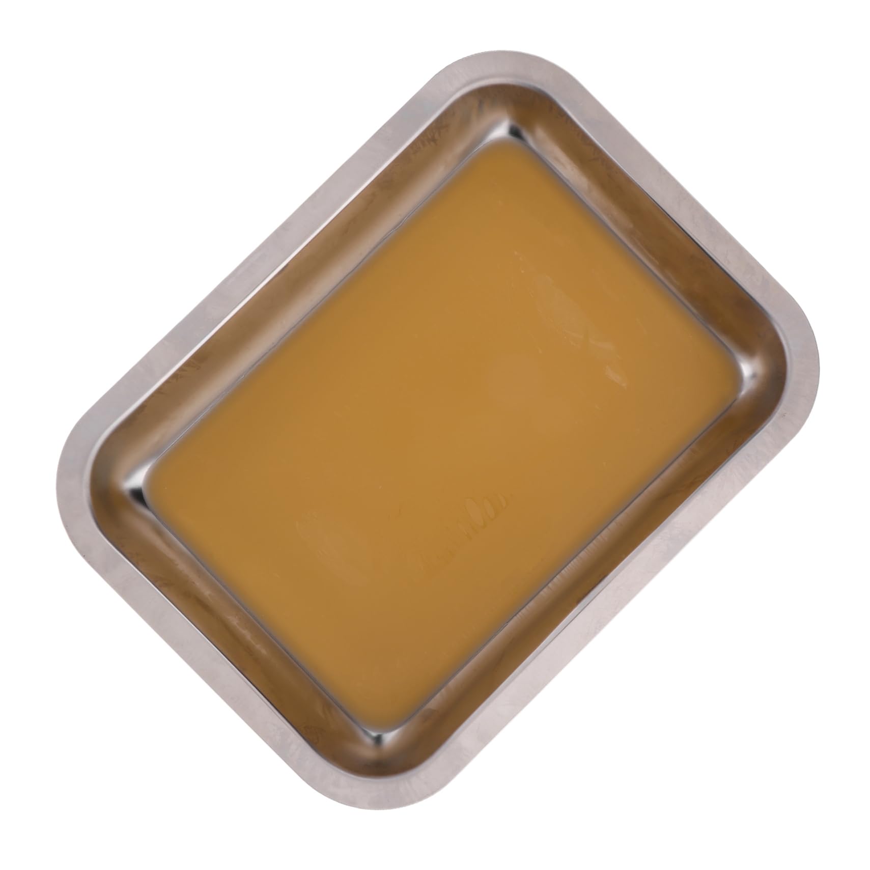 Gogogmee Anatomy Tray Laboratory Storage Dissecting Tray with Desktop Organizer Dissection for Students Medical Tray Laboratory Tool Tray Stainless Steel Silver