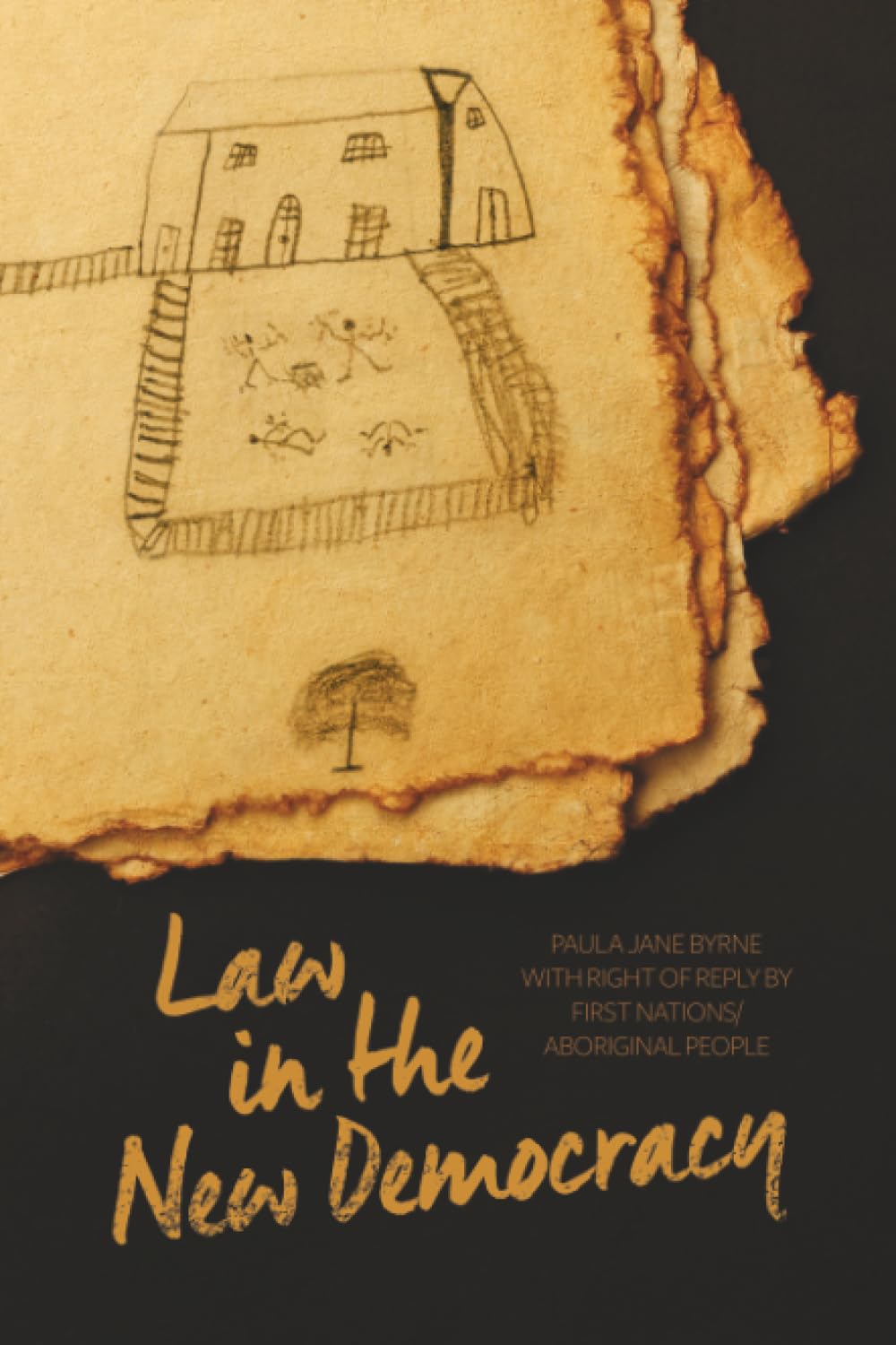 Law in the New Democracy