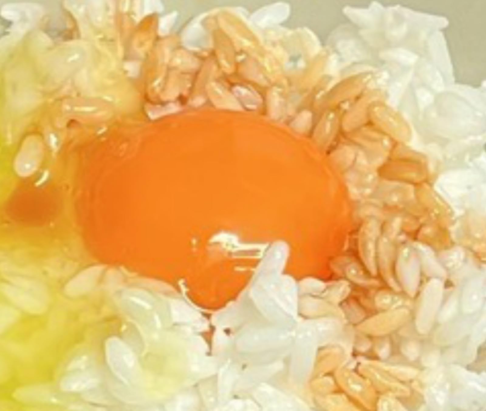 Amazon.co.jp: 【ながお食研】(食品サンプル) おいしそうな卵がぽんと