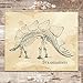 Dinosaur Fossils Art Prints (Set of 4) - Unframed - 8x10s | Vintage Dino Sketches of Triceratops, Stegosaurus, T-Rex Skull, and Pterodactyl | Boys Wall Decor