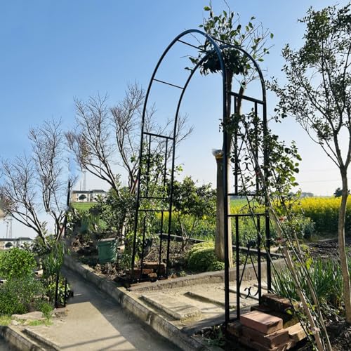 Arche de jardin largeurs 2,6m 3m 3,4m support plantes - 3