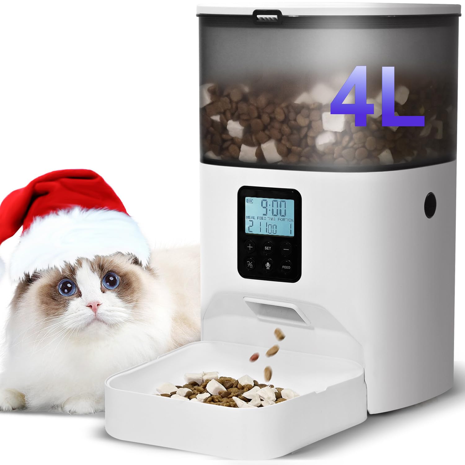 cat with automatic feeder