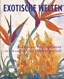  Exotische Welten: Kakteen und außereuropäische Blütenpflanzen im Werk von Nolde und Schmidt-Rottluff