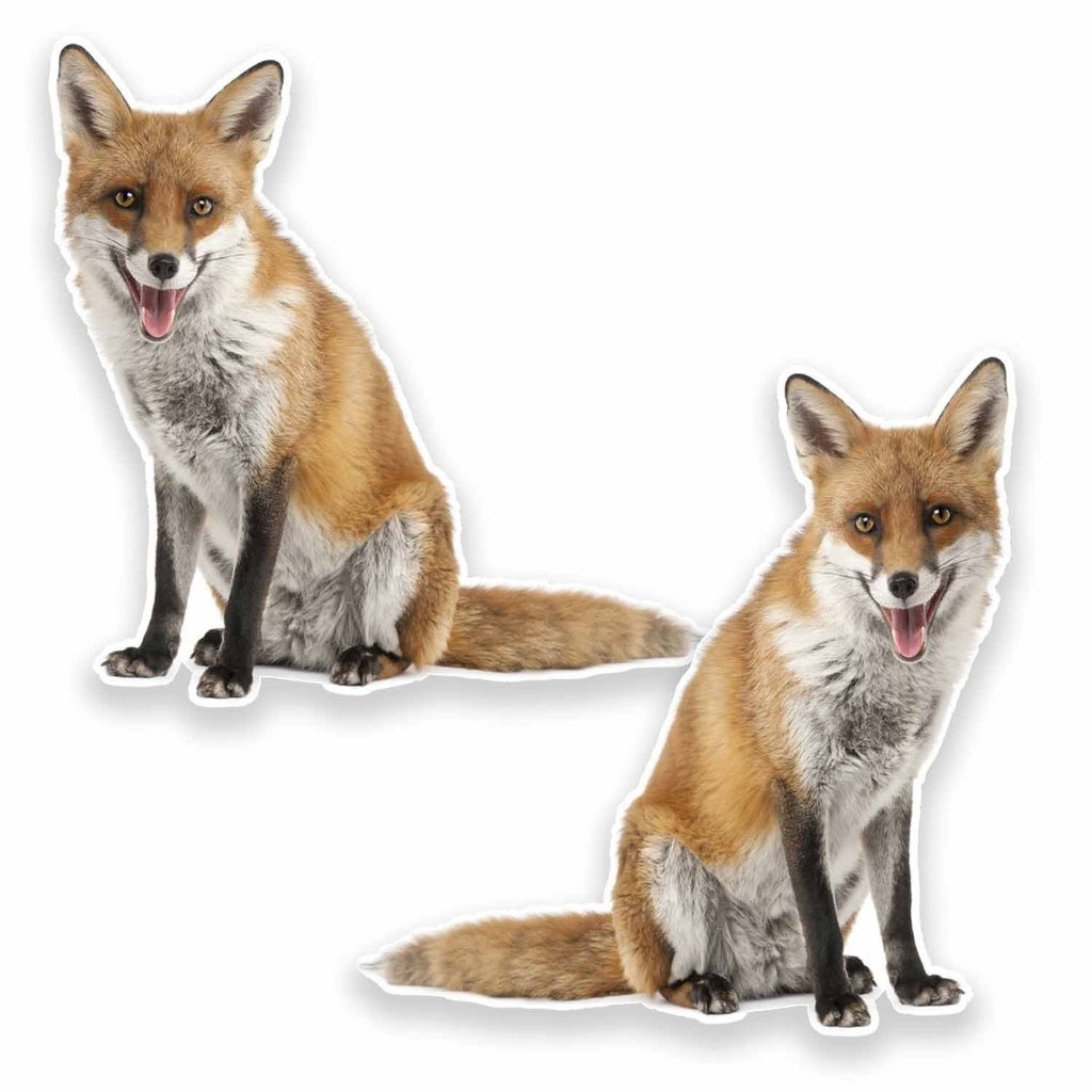 Destinationvinyl 2 X 30Cm/300Mm Ginger Fox Window Cling Sticker Car Van Campervan Glass #9643