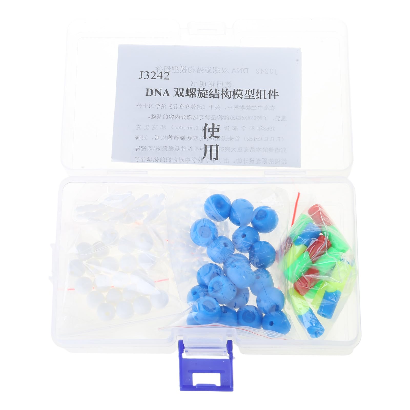 Amazon.co.jp: DNA 遺伝構造モデルデオキシリボ核酸セット有機化学原子