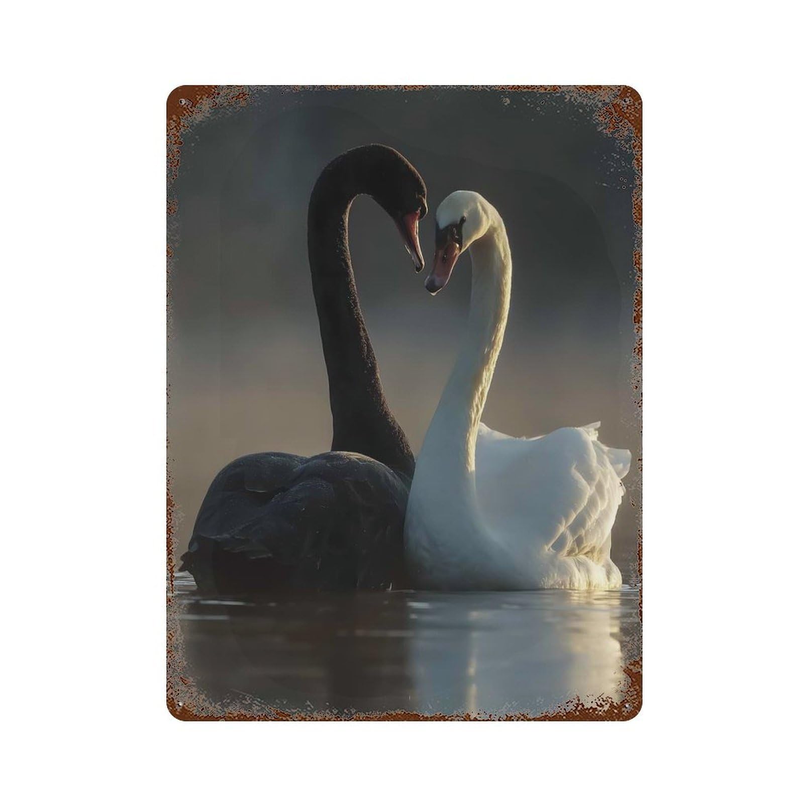 Black And White Swans in Love Weathered Tin Sign 15.7"x11.8", Retro Wall Decor for Pub, Kitchen And Man Cave Decor