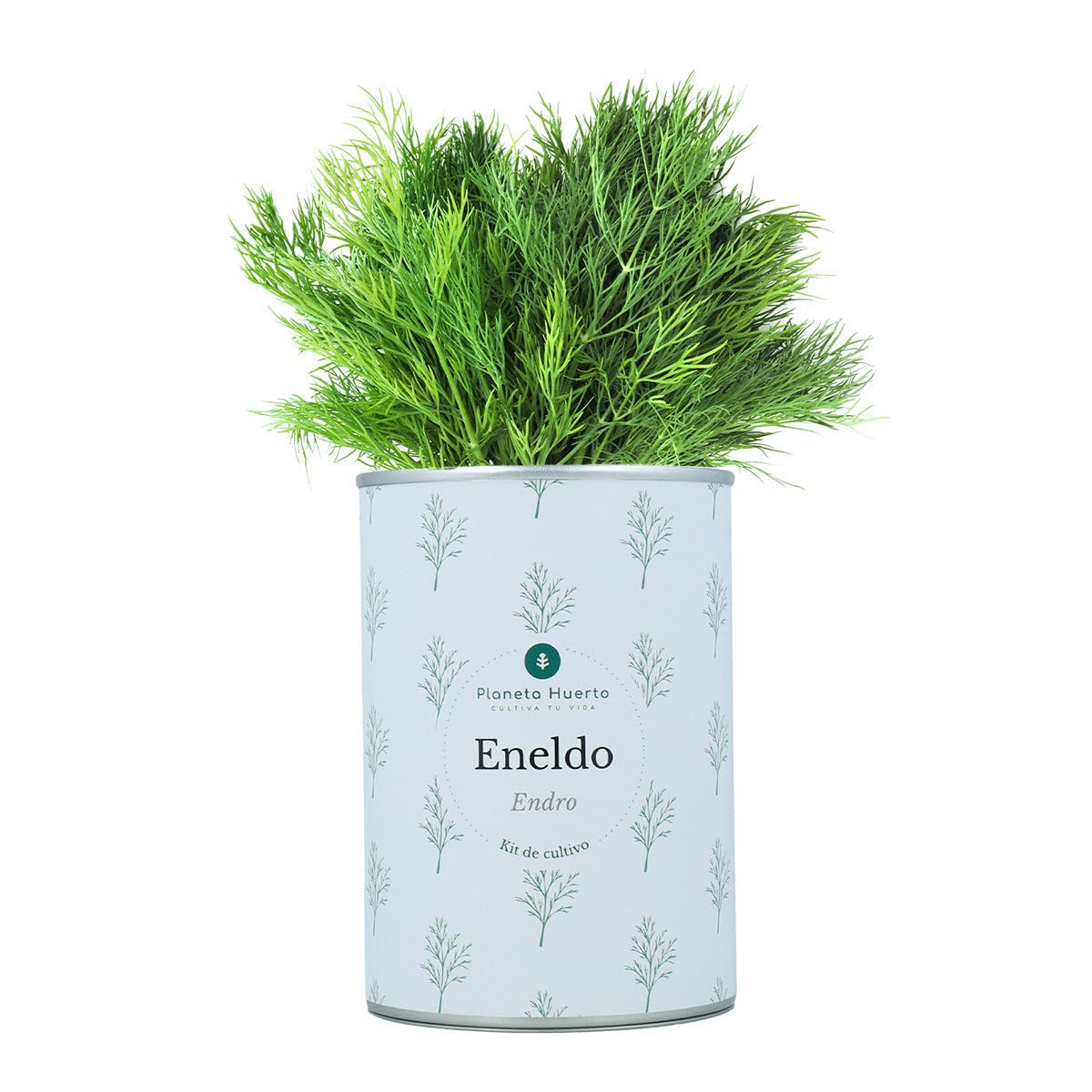 PLANETA HUERTO | Pack Cofre Kits de Cultivo Aromáticas Planeta Huerto – Set Completo para Cultivar Hierbas Frescas en Casa