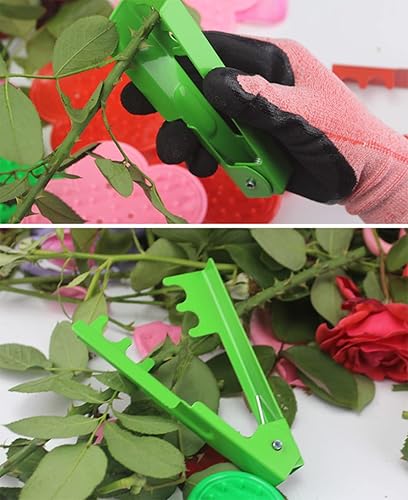 Miniatura 6 de Kit profesional de pelador de hojas de rosa, herramienta de pelar espinas, removedor de espinas para arreglos florales de rosas (rosaverde)