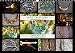 Muranero (Wandkalender 2016 DIN A3 quer): Muranoglas Schmuck (Monatskalender, 14 Seiten ) (CALVENDO Kunst)