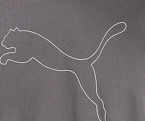 Image of Puma Men's Polyester Regular Fit T-Shirt