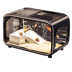 水槽 - Amazon.co.jp