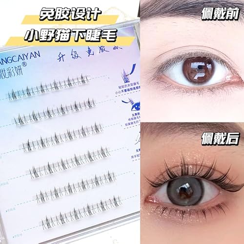 }Olbg܂ C ܂ lC y }Olbg܂ ڒ܂ACCi[͕sv ėp\  gѕ֗ ȒP h/h/S/ʋ/s/p (ڒ܂̂ȂǔL̉܂6)