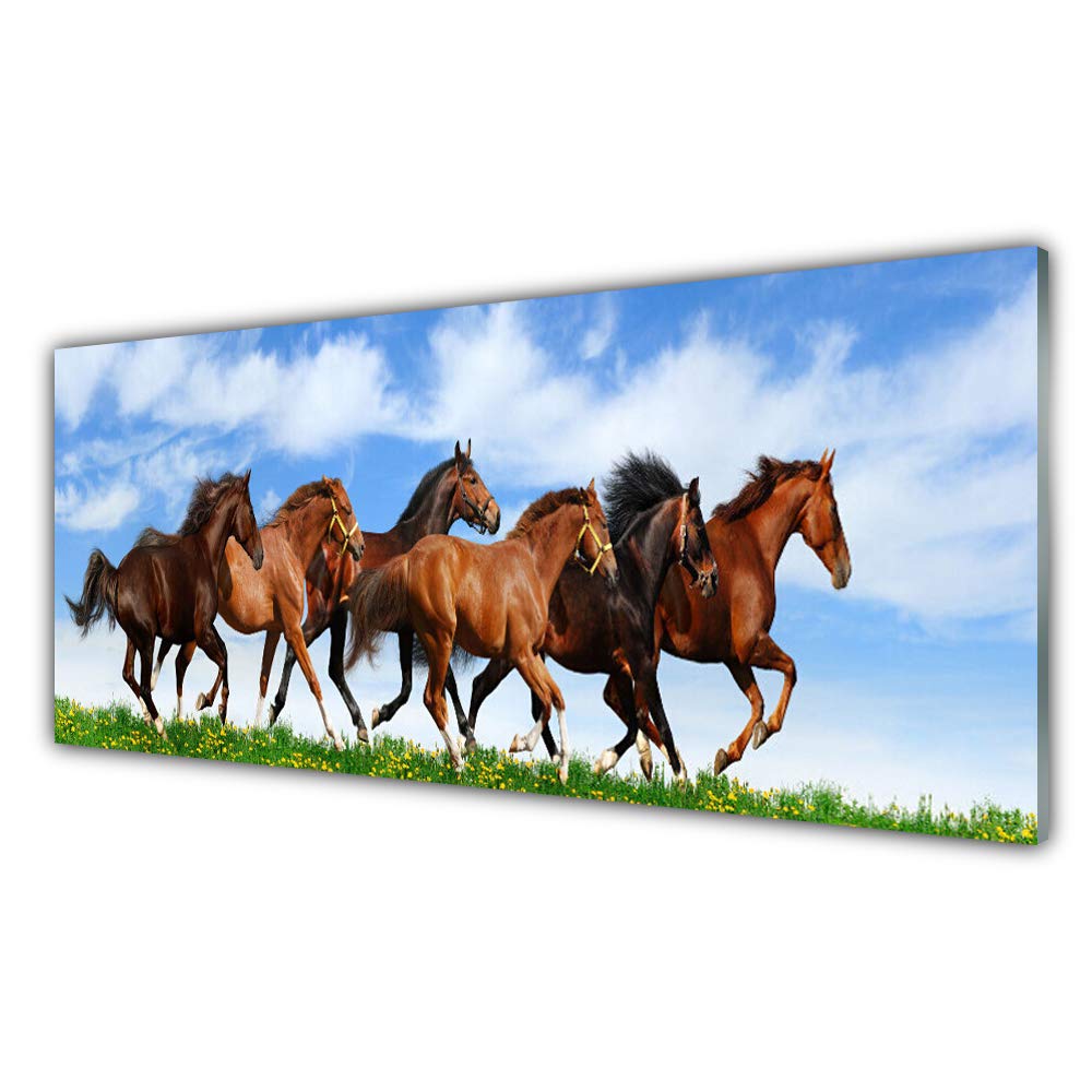 Tableau mural moderne chevaux Tulup déco plastique imprimés 125x50