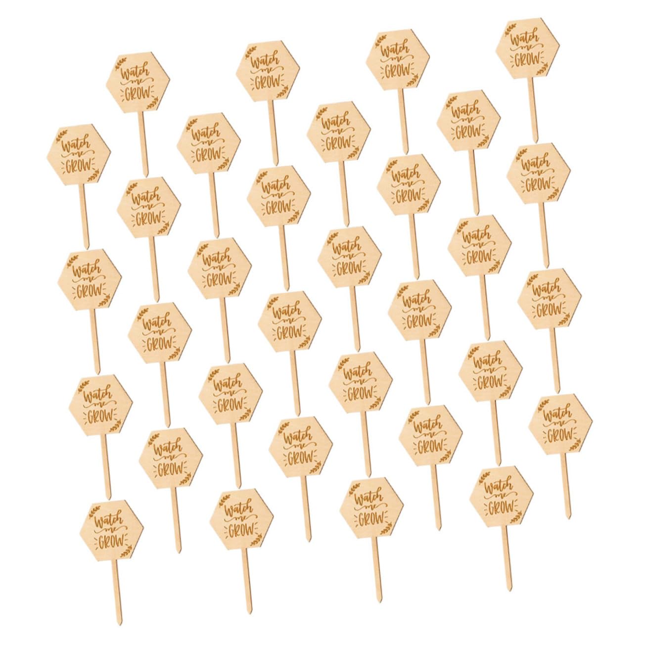 ibasenice 5 Ensembles Étiquettes En Bois Pour Plantes Étiquettes Pour Semis Jardinage Marqueurs Pour Plantes De Jardin Étiquettes Pour Plantes Succulentes Étiquettes De 40 pièces * 5