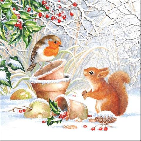 20 Servietten Eichhörnchen/Vogel im Winter/Tiere/Winter/Weihnachten/Robin Cover