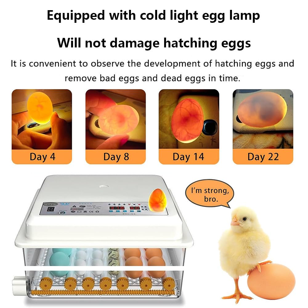 Incubadora De Huevos 64/120/176, Con Pantalla De Temperatura Y Humedad, Volteo Automático De Huevos, Dispositivo De Prueba De Huevos, Para Incubar Huevos De Gallina, Pato Y Codorniz,120