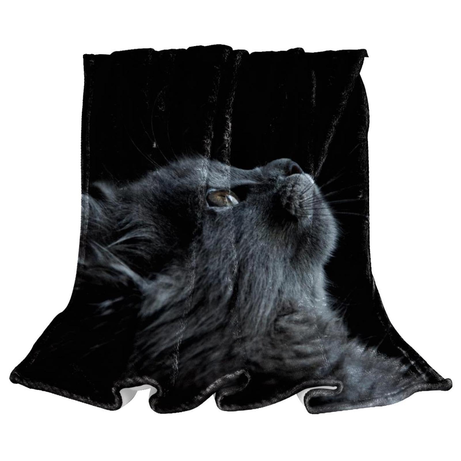 Plaid polaire chat chaud couverture contre le froid