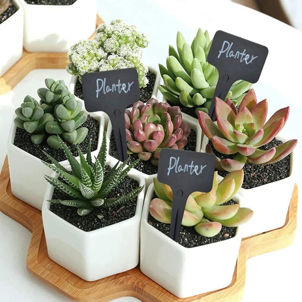 Amazon.co.jp: zakata 園芸ラベル 植物タグ 植物ラベル 黒 T型ラベル