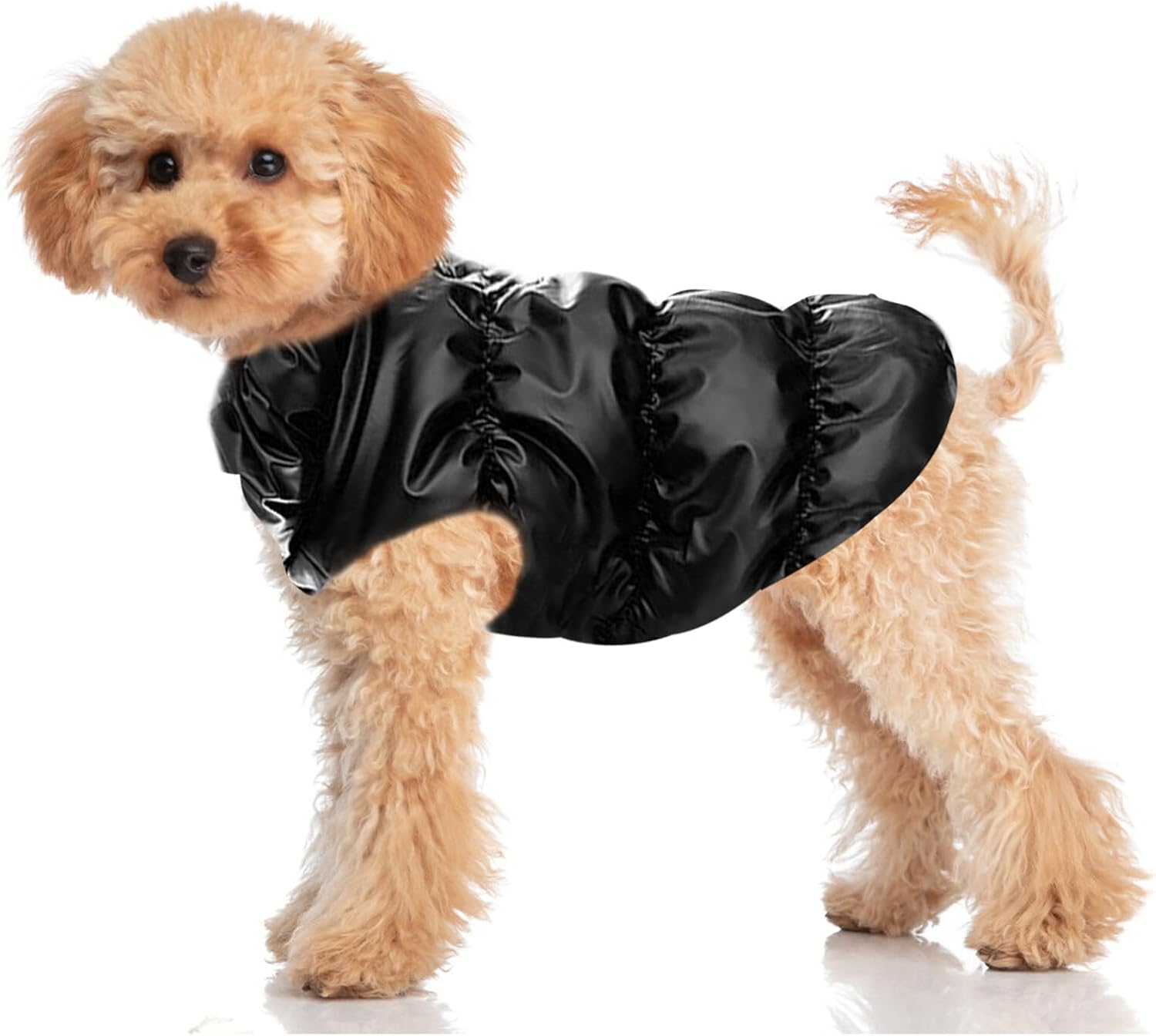 Misazy Dog Coats Waterproof with Harness Hole, Small Dog Coats