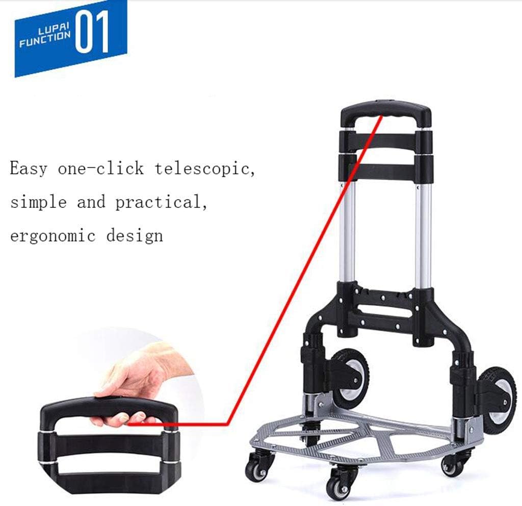 K茶道具 掛軸 「寒牡丹と雀」の図 岸燕作 配送用桐箱 S178KJ