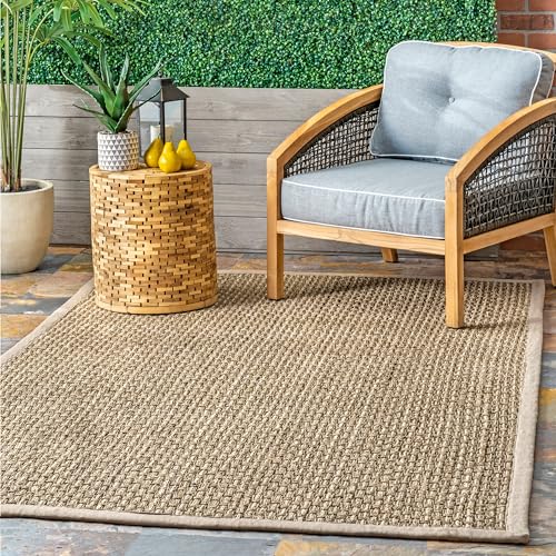 nuLOOM Spero Seagrass Basketweave Bordered Area Rug, 2' x 3', Natural