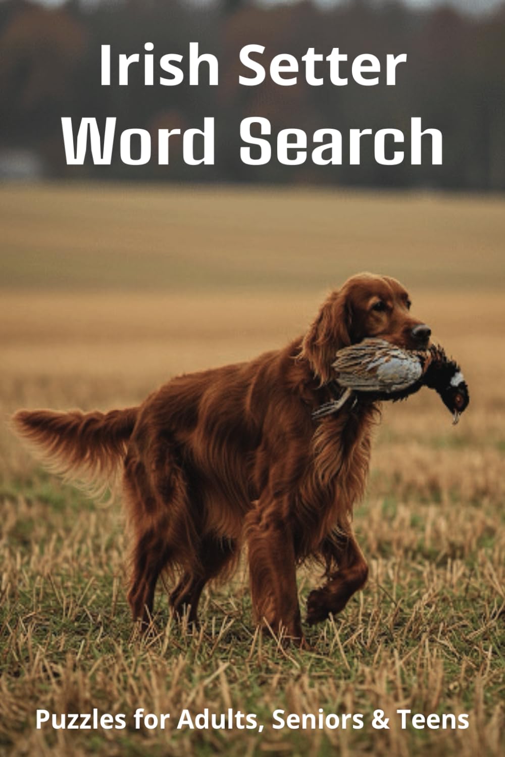 Words About Irish Setters Word Search Puzzles: Easy-to-Read Word Searches About Irish Setters – Loyal Companions, Training, Fun Facts & More | 6x9”, ... Pet Lovers, Vacations, and Relaxing Moments