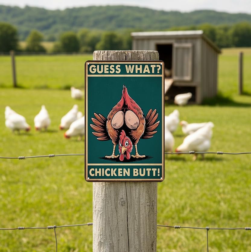 Miniatura 6 de Letrero divertido de pollo con texto en inglés Guess What (Guess What) para el hogar, granja, gallinero, cocina, jardín, patio, decoración de 8 x 12