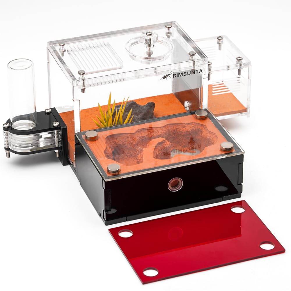 Terra Core Series S Ant Nest Starter Kit
