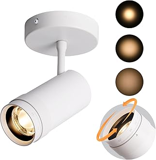 Aisilan LED Zoomable Ceiling Spotlight Indoor 7W Dimmable Adjustable Beam Angle 10-55° Swivelable Angle CRI 97 Matt White Aluminum Wired Accent Lamp for Corridor Mural Living Room